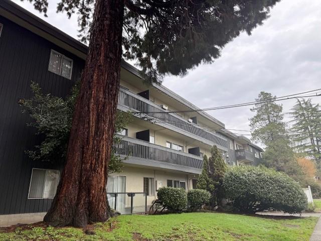 Alderwood