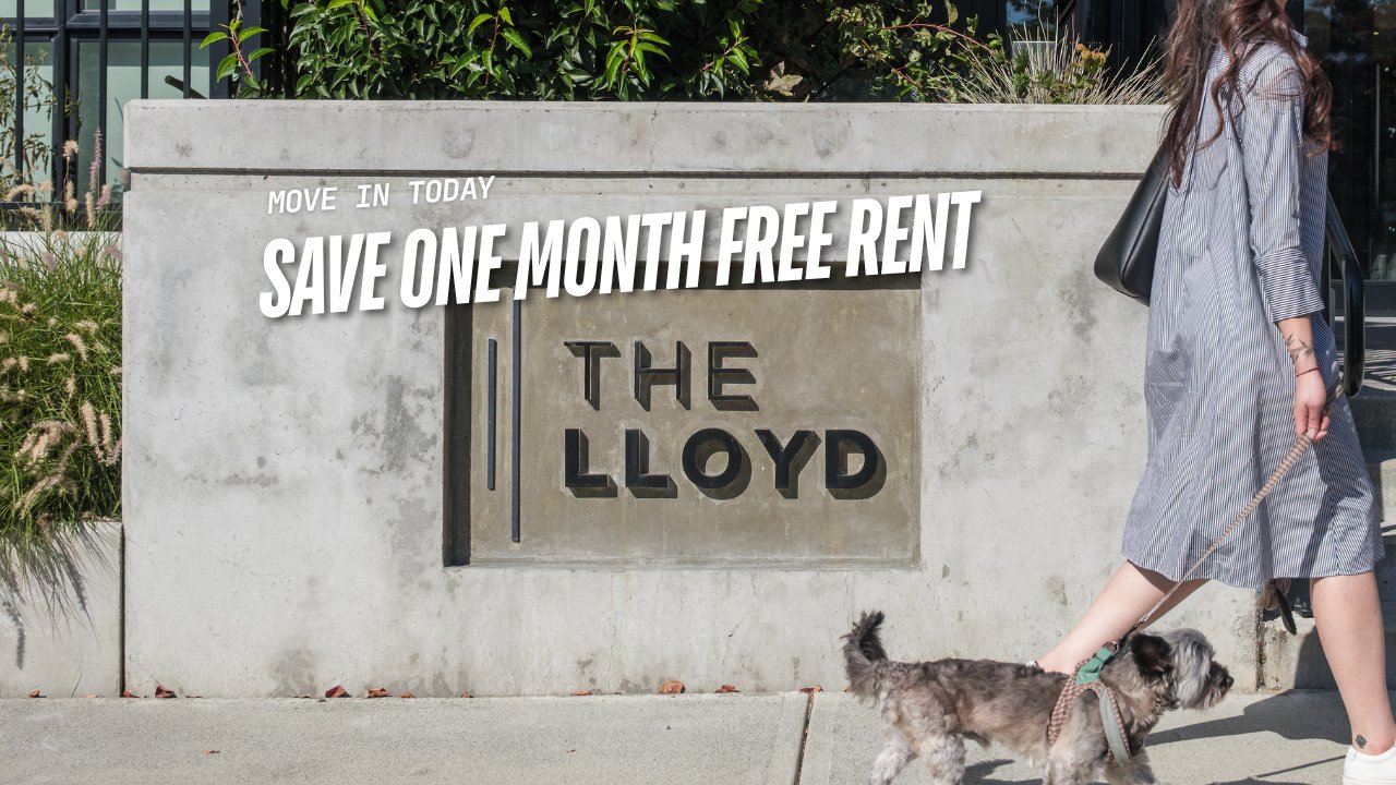 The Lloyd
