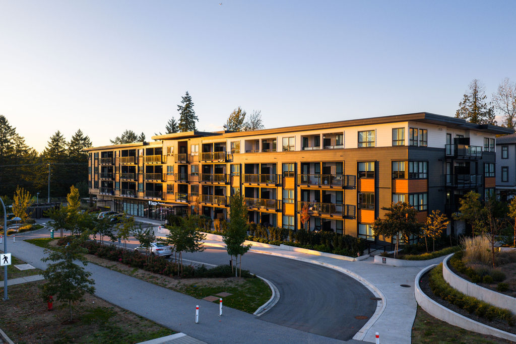 Wood and Water